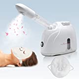 Vaporizador facial con brazo extendido, nanovapor facial, humidificador de vapor caliente...