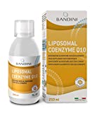 BANDINI PHARMA Coenzima Q10 Liposomal, Complemento Alimenticio Líquido con Alta Dosis y...