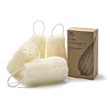 FAAY 4 Piezas Esponja de Lufa Exfoliante Natural Premium: 15.2cm Ecológica Sin Blanquear...