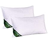 Evergreenweb - Par de almohadas de cama en ESPUMA DE MEMORIA y aceites esenciales de SOJA BIO 40x70 alto 12 cm,...