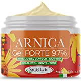 PharmaC+ Arnica para Caballos Uso Humano 97% 500ml, FUERTE Gel de Arnica, Extracto Puro CONCENTRADO, Crema...