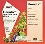 Salus Floradix Hierro Y Vitaminas - Complemento Alimenticio Con Extractos De Plantas - 200 Ml