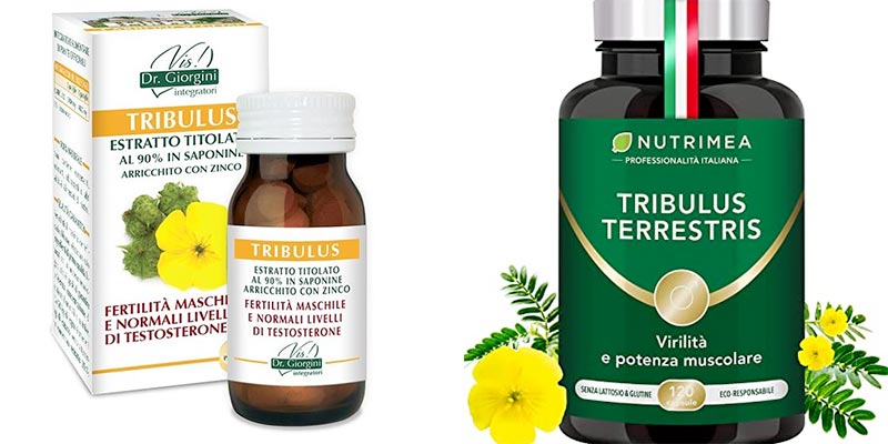 Suplemento a base de tribulus terrestris