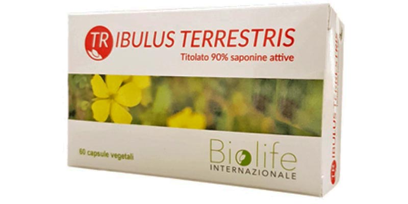 El mejor suplemento de tribulus terrestris